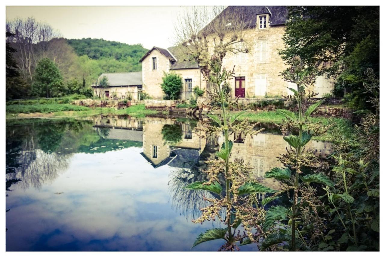 Bed and Breakfast Ô Rêve de Gabriel Saint-Amand-de-Coly Exterior foto