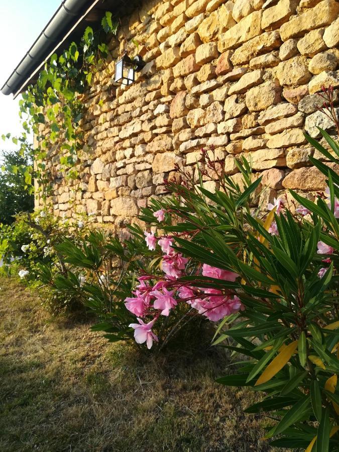 Bed and Breakfast Ô Rêve de Gabriel Saint-Amand-de-Coly Exterior foto